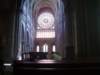 rosacelacathdrale_small.jpg