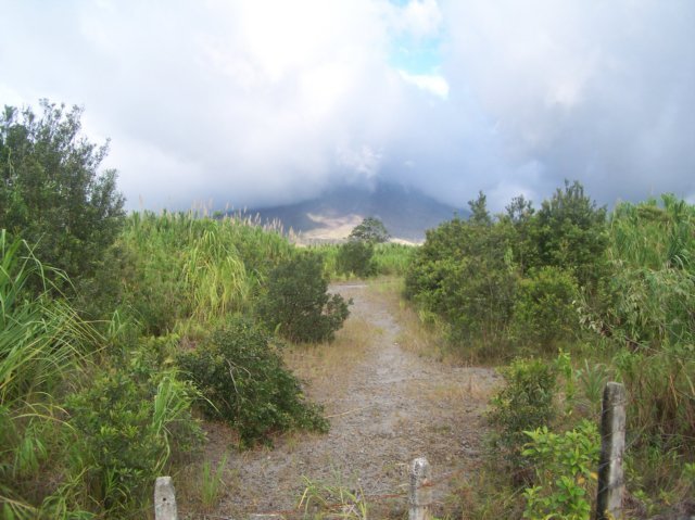 Une photo de l'album « Costa Rica 2004 » sur le site web de la famille Ratté.