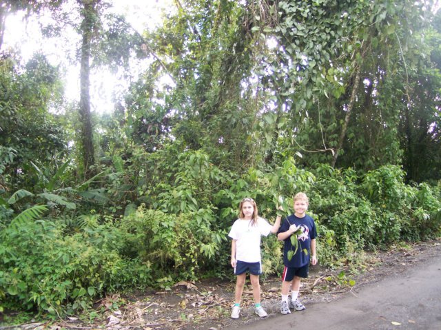 Une photo de l'album « Costa Rica 2004 » sur le site web de la famille Ratté.
