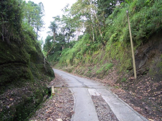 Une photo de l'album « Costa Rica 2004 » sur le site web de la famille Ratté.