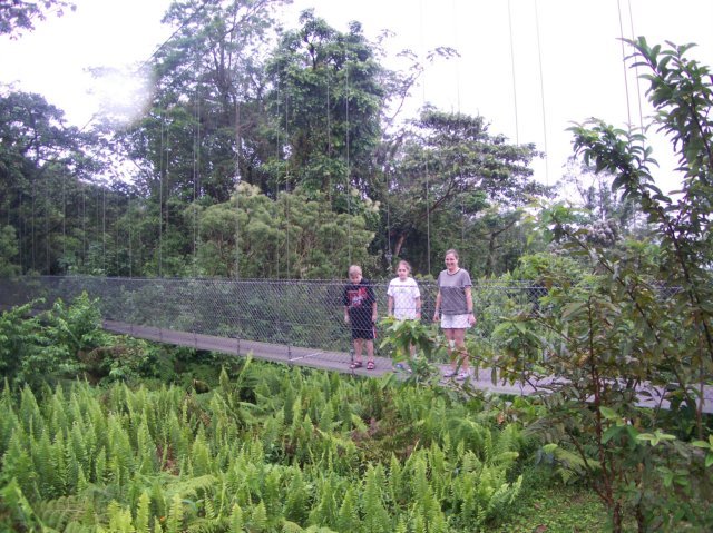 Une photo de l'album « Costa Rica 2004 » sur le site web de la famille Ratté.