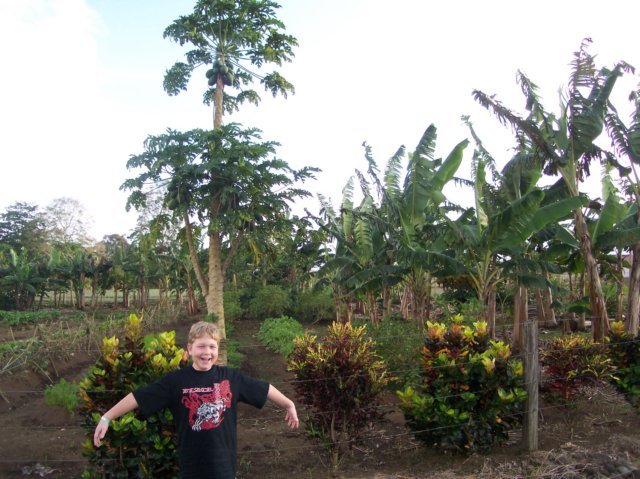 Une photo de l'album « Costa Rica 2004 » sur le site web de la famille Ratté.