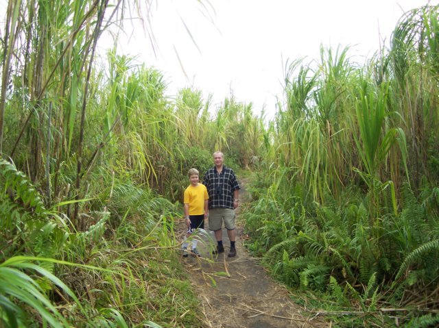 Une photo de l'album « Costa Rica 2004 » sur le site web de la famille Ratté.