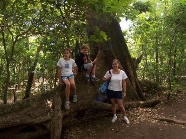 Une photo de l'album « Costa Rica 2004 » sur le site web de la famille Ratté.