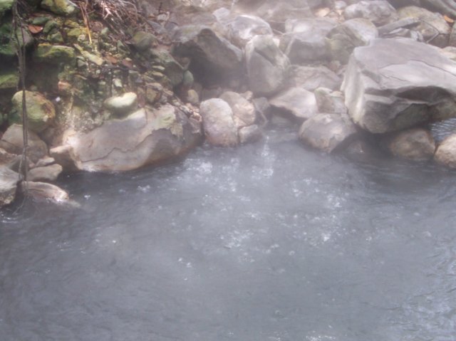 Une photo de l'album « Costa Rica 2004 » sur le site web de la famille Ratté.