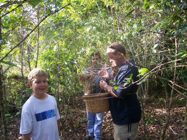 Une photo de l'album « Costa Rica 2004 » sur le site web de la famille Ratté.