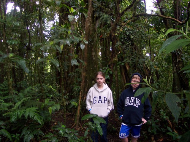 Une photo de l'album « Costa Rica 2004 » sur le site web de la famille Ratté.