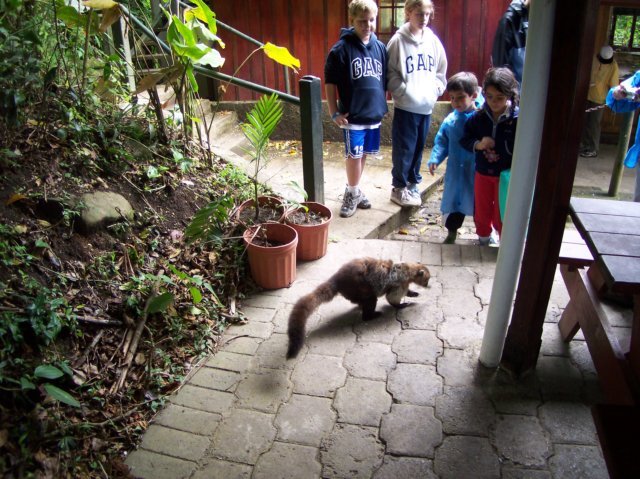 Une photo de l'album « Costa Rica 2004 » sur le site web de la famille Ratté.