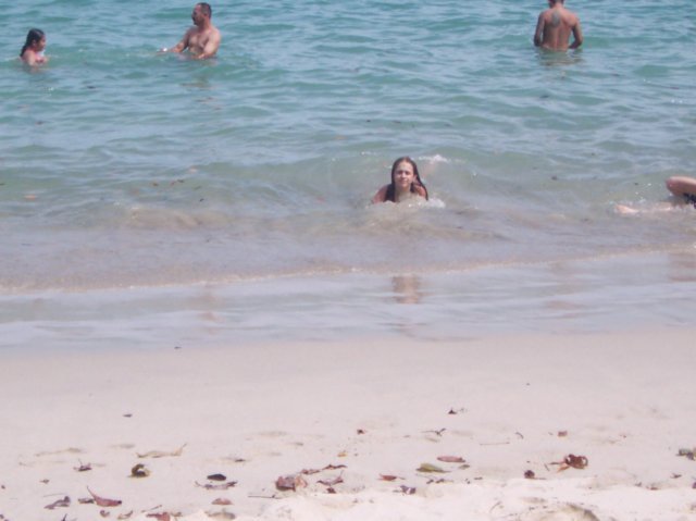 Une photo de l'album « Costa Rica 2004 » sur le site web de la famille Ratté.