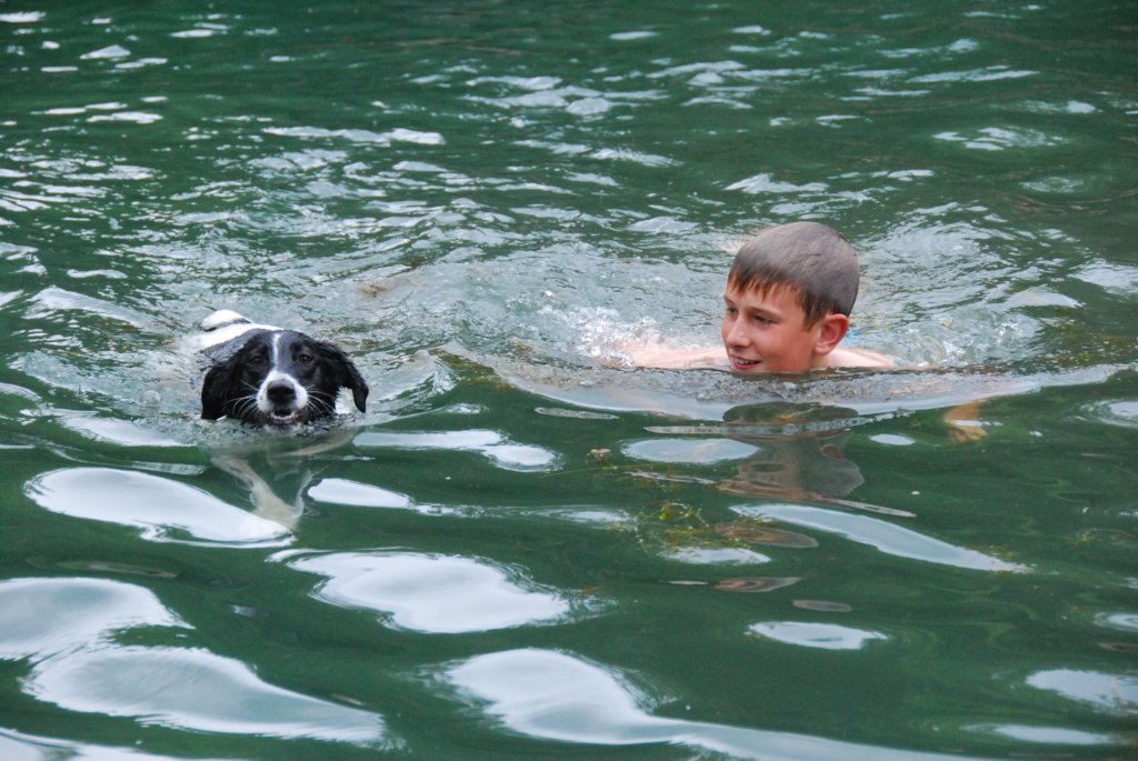 andrewcontrelechien.jpg