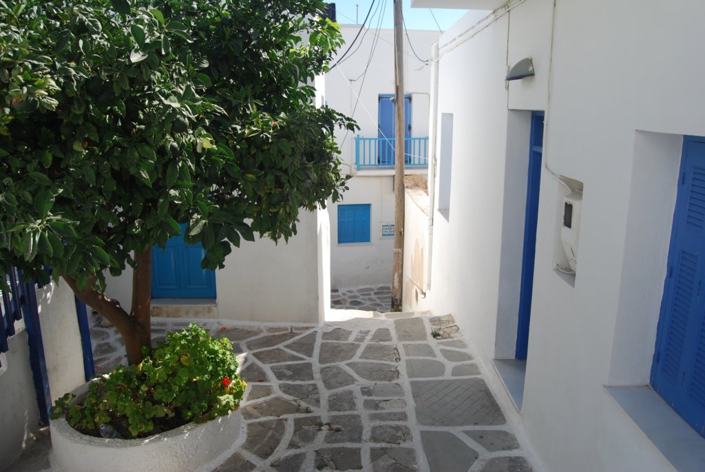 dsc_0040.jpg