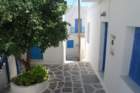 dsc_0040_small.jpg