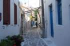 dsc_0048_small.jpg