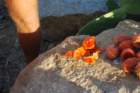 dsc_0073_small.jpg