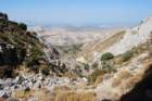 dsc_0080_small.jpg