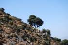 dsc_0082_small.jpg