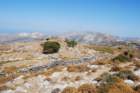 dsc_0084_small.jpg