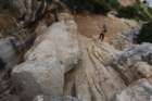 dsc_0119_small.jpg