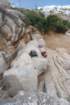 dsc_0120_small.jpg