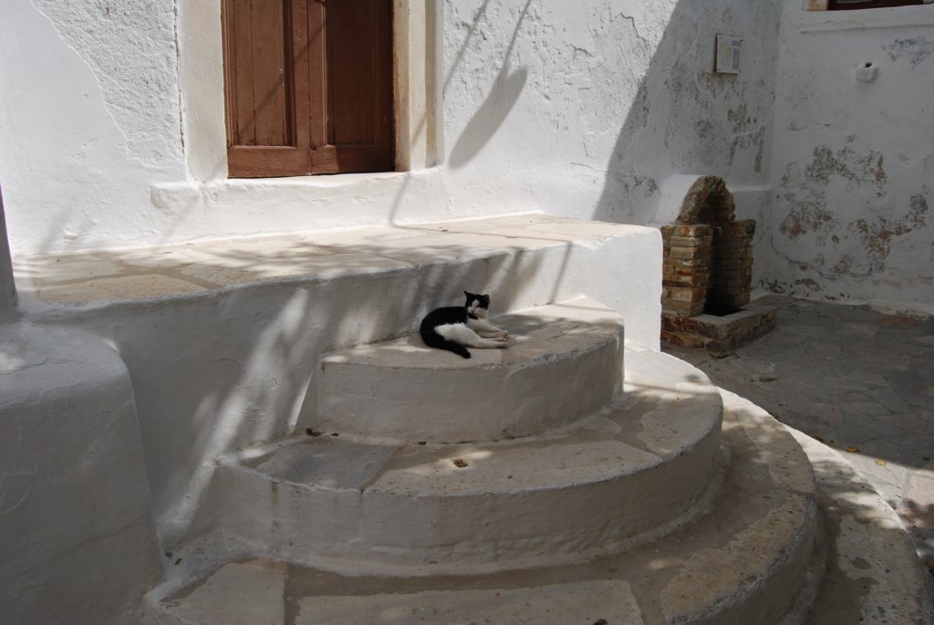 dsc_0132.jpg