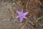 dsc_0154_small.jpg