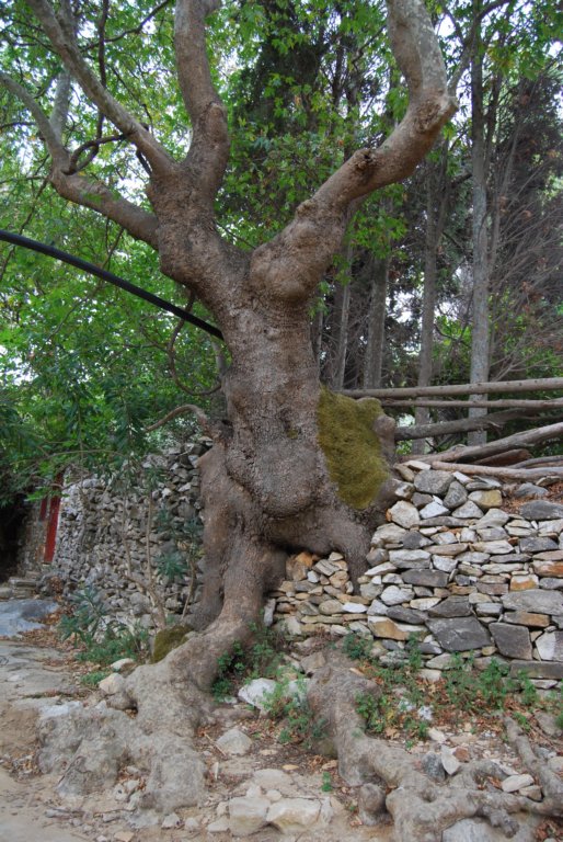 dsc_0159.jpg