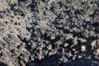 dsc_0331_small.jpg