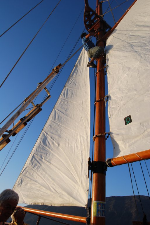 dsc_0347.jpg