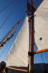 dsc_0347_small.jpg