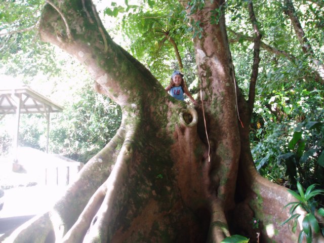 Une photo de l'album « Guadeloupe 2004 » sur le site web de la famille Ratté.