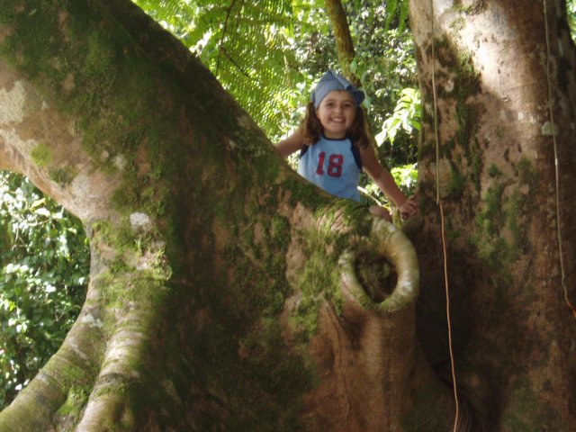 Une photo de l'album « Guadeloupe 2004 » sur le site web de la famille Ratté.