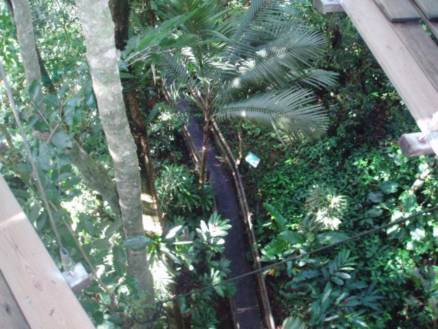 Une photo de l'album « Guadeloupe 2004 » sur le site web de la famille Ratté.