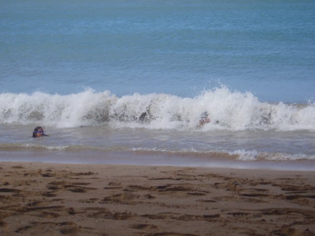 Photograph