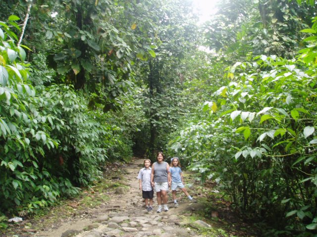 Une photo de l'album « Guadeloupe 2004 » sur le site web de la famille Ratté.