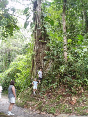 Une photo de l'album « Guadeloupe 2004 » sur le site web de la famille Ratté.