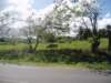 Photo Number 7