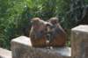 dsc_0023_small.jpg