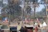 dsc_0026_small.jpg