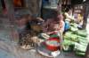 dsc_0051_small.jpg