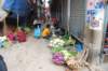 dsc_0071_small.jpg