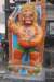 dsc_0155_small.jpg