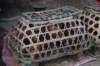 dsc_0165_small.jpg