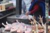 dsc_0167_small.jpg