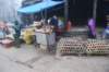 dsc_0169_small.jpg