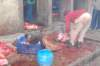 dsc_0170_small.jpg