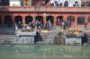 dsc_0201_small.jpg