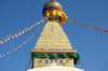 dsc_0259_small.jpg