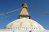 dsc_0260_small.jpg