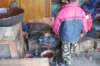 dsc_0266_small.jpg