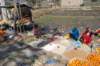 dsc_0278_small.jpg